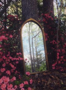 espelho na floresta